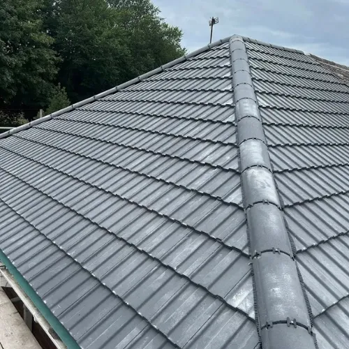 Recent roof project